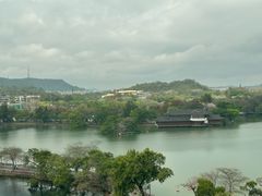 -有心德(麦地店)