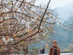 -广州市流溪河国家森林公园
