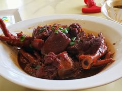 -张鸟园农家乐(张鸟园店)