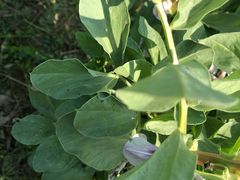-邱记私房菜·十八年本地菜