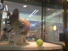 -乐宠宠物店(世纪金源店)