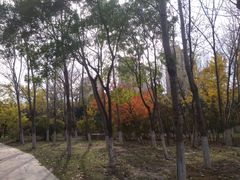 -前关湿地公园