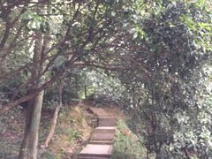 -峙山公园