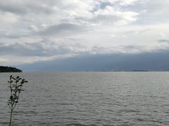 -才村湿地公园
