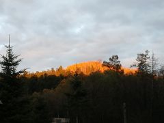 -五营红松林海景区