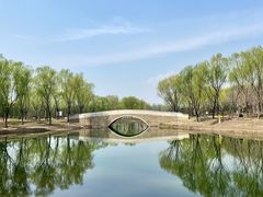 -东郊湿地公园