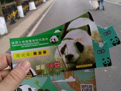 门票-成都大熊猫繁育研究基地