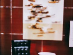 -上海雅居乐万豪侯爵酒店