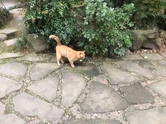 -成都杜甫草堂博物馆