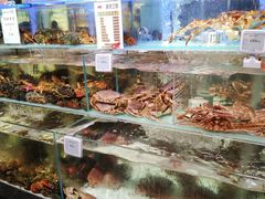 -超级物种·波龙工坊(国贸店)