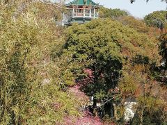 -无锡梅园公园