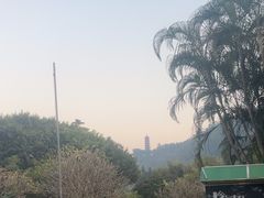 -南沙蒲洲花园