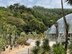 -深圳仙湖植物园
