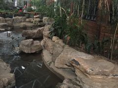 -森谷美食公园(杨行店)