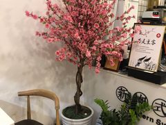 -一杯潮茶·专注潮汕茶饮(十二中创始店)