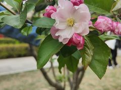 -元大都城垣遗址公园