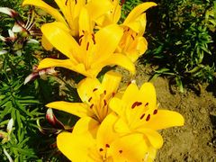 -长春公园(普阳街道)