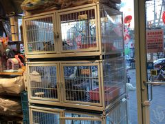 -我爱吾宠宠物美容院(朝阳路店)