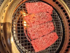 -老乾杯(深圳湾万象城店)