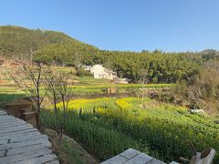 -灵山景区梯田