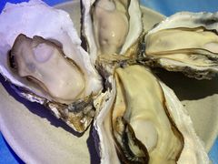 -千岛蚝高压锅生蚝·人参火锅(白云万达店)