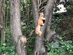 -上海佘山世茂艾美酒店
