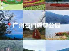 -广州市石门国家森林公园