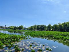 -长春市南湖公园