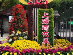 -上海共青森林公园