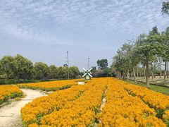-广东花都香草世界旅游度假区