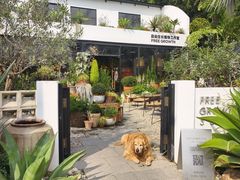-自由生长植物工作室(深港花卉中心店)