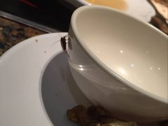 -黄记煌三汁焖锅(凯德广场店)
