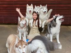 -TrueLove @ Neverland (Husky Cafe)