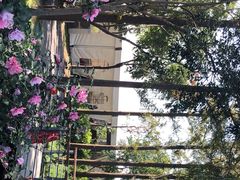 -前小桔亲子创意农场·草莓采摘·露营烧烤