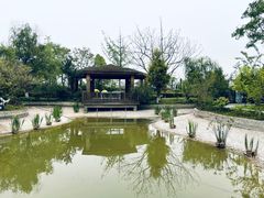 -成都安仁福朋喜来登酒店