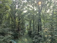-WeLope紫金山探险公园