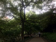-素清香(解放路店)