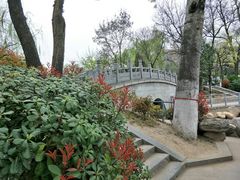 -莲湖公园