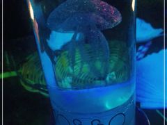 -MOSSO音乐酒吧·Live House(南京西路店)