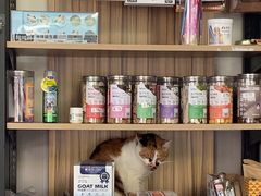 -佑安动物医院·全科·内窥镜中心(幸福巷店)