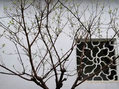-拙政园