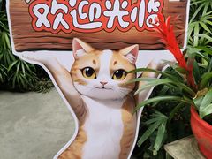 -广州兰圃