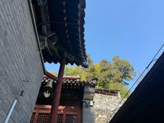 -北京上方山国家森林公园