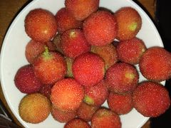 塘栖超山杨梅采摘-塘栖枇杷特色园区