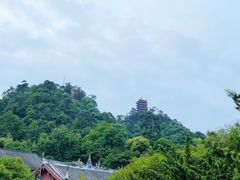 -缙云山景区