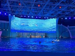 -海合安青岛极地海洋公园