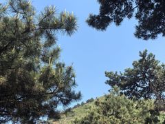 -山叶口景区