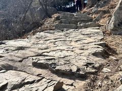 -北京鹫峰国家森林公园
