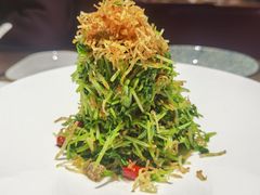 巧拌豆苗-四季民福烤鸭店(西单华威约饭街店)