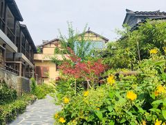 -黄陂区野村谷景区